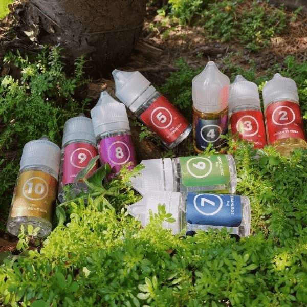 313 小煙油全系列口味展示,高還原度丁鹽煙油,適合 ILIA 與 SP2S 各類主機使用